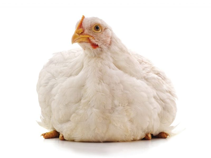 One Thing for&nbsp;Sure